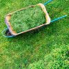 Cut Compost Green Manure Seed