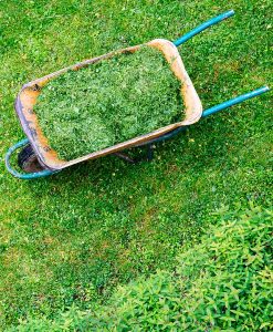 Cut Compost Green Manure Seed