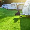 Campsite, Car & Caravan Park Grass Seed