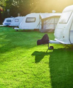 Campsite, Car & Caravan Park Grass Seed