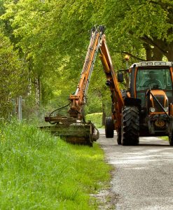 Bank, Bund & Roadside Verge grass seed