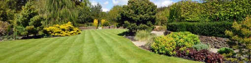 Garden Lawn Seed UK Supplier