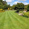 Quality Hard Wearing Lawn Seed With Dwarf Ryegrass