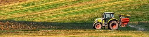Agricultural Grass Seed For Over Seeding