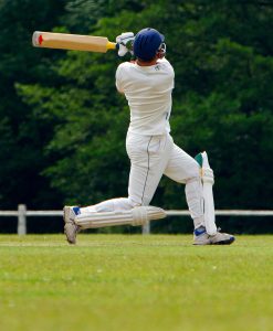 Cricket Pitch Grass Seed Mixture