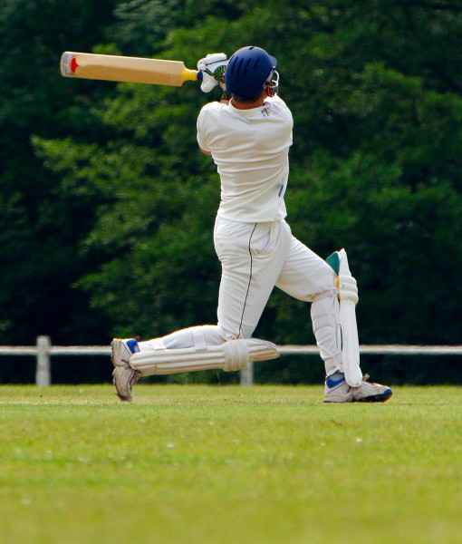 Cricket Pitch & Outfield Seed Amenity Grass Seed GSS DIRECT LTD