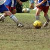 Pitch Repair Seed for Overseeding Amenity Grass