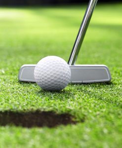 Pitch & Putting Green Grass Seed Suppliers