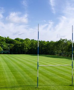 Rugby Field Sports Pitch Grass Seed Supplier