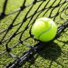 Tennis Court Grass Seed