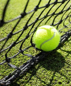 Tennis Court Grass Seed