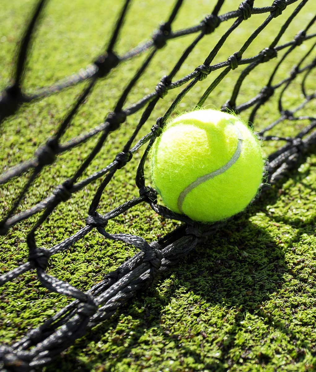 Tennis Court Grass Seed