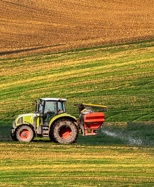 OVERSEEDING