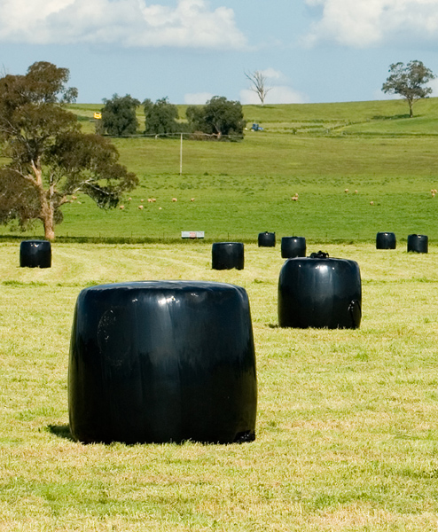 SILAGE LEYS