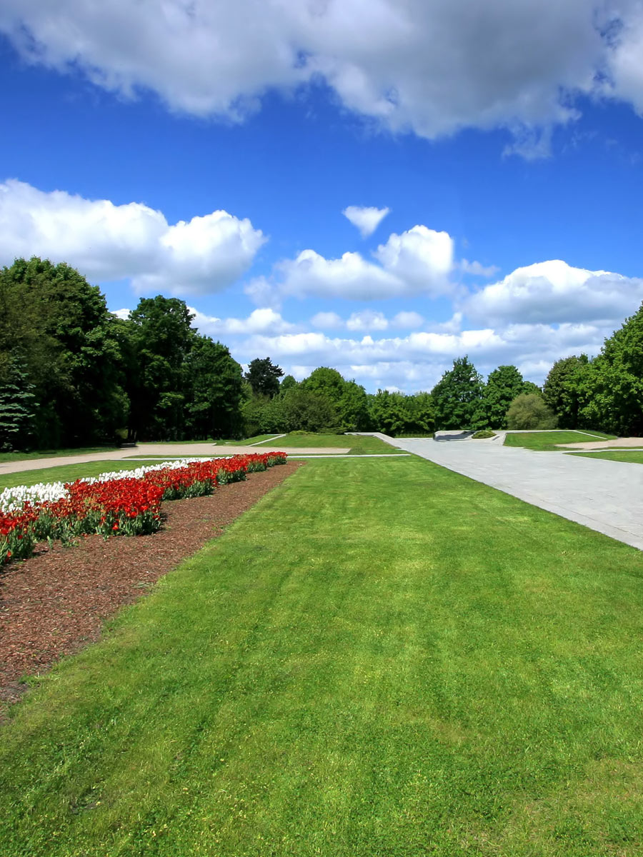 Bulk Grass Seed For Landscaping